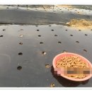 참살이농장 이미지