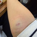 삼성이앤혁의원 이미지