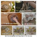 매일낙지 이미지