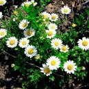 수산리농장 이미지