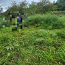 무주장의사 이미지