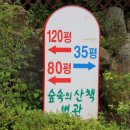 숲속의 산책 이미지