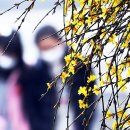 담장아래꽃