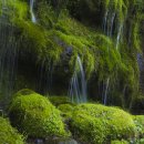 계곡&풍경 이미지