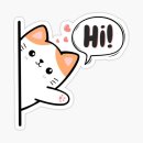 (주)아이헤드 | 이니스프리 화산송이 BHA 모공 클렌징폼 솔직 후기 | 피지·블랙헤드 딥클렌징 추천