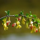 꽃피는 풍경 이미지