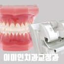 교정치과 티스토리