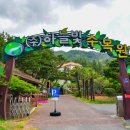 하늘빛수목정원 네이버블로그