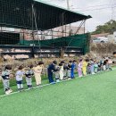 푸른 축구)신나는 축구 첫 시간⚽️ 이미지