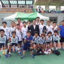 군민운동장 이미지