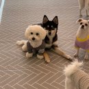 넌나의가족 이미지