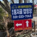 명당 | 용인 캠핑장 수원 근교 조용한 곳, 둥지골캠핑장 명당 추천 후기