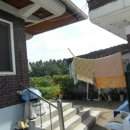 대풍세탁 이미지