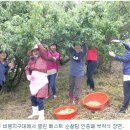 이두수 농장 이미지