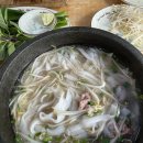 제일팜 | [나트랑] 4박 6일 놀고먹기
