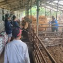 강릉축산 이미지