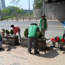 양지로·양지남로 이미지