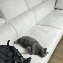 휘트니스피플우먼 건대점 | 건대 여성전용헬스장 추천 | 휘트니스피플 우먼 건대점 | PT 솔직후기