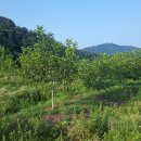 덕곡농장 이미지