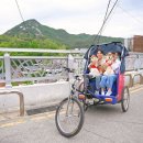 천지 애견 티스토리