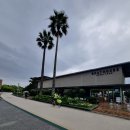 오토엠에스(동울산점) | [여행]4월19일-20일 일본 후쿠오카 브롬톤라이딩 후기/OMK바이크캠프