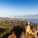 동백목장 이미지