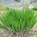 영농산업 이미지