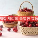 제철 체리의 특별한 효능◈─―☞☞ 이미지