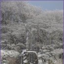 [1월 21일(토요일)]제주기행 ③ 한라산 (영실-윗새오름-어리목) 산행 이미지