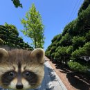 마할키타 | 미워하지 않아도 될 수많은 이유