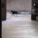 평화로 43번길 이미지