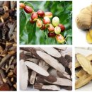 온누리평안약국 이미지