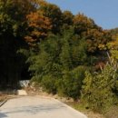 송림부동산중개사무소 이미지