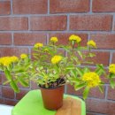 기린초등학교 이미지