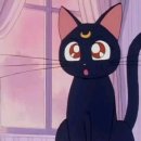 세일러문PC 이미지