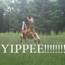 씻고가개 | 作戦！イケメン探し！