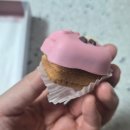 친구들과 함께 떠나는 대전 여행-이 친구들은 13년이 지나도 변함없다. (대전 1박2일 여행)