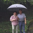 오목골 목장 이미지