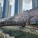 해수천1호 이미지