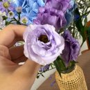 소동7길 | 사진첩으로 돌아보는 2025.7월 첫째주