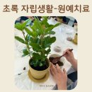 안양장애인자립생활센터 | 경기도 장애인 주간 이용센터 성인 발달장애인의 자립과 재활을 돕는 원예치료 수업