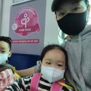 서호꽃뫼(2) 이미지