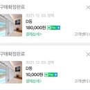 우다다애견 이미지