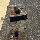 도림천로 이미지