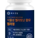 세모건담 네이버블로그