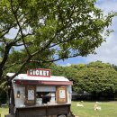 제동농장 | 가볼만한 곳 먹이체험 가능 동물농장 ㅣ 27개월 아기랑 제주도 여행 찐 후기 ㅣ 제동목장 포토스팟까지 !