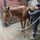 강화군장애인단체총연합협의회 | 대구시보도자료20260420월요일