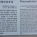 월평다라쿳당 이미지