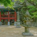 사자사지 이미지