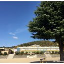 영광여자중학교 이미지